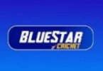 BlueStar Cricket Apk