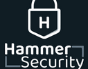 Hammer Security Mod Apk